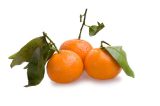 Mandarine paterno